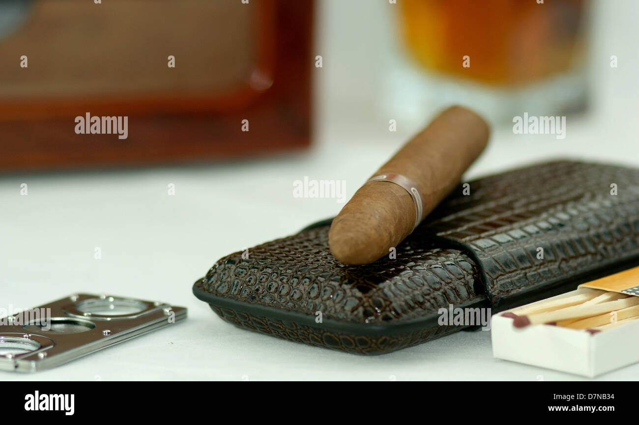 A cigar on the top of elegant, leather cigar case. Cigar cutter and matches. Close-up. Stock Photo