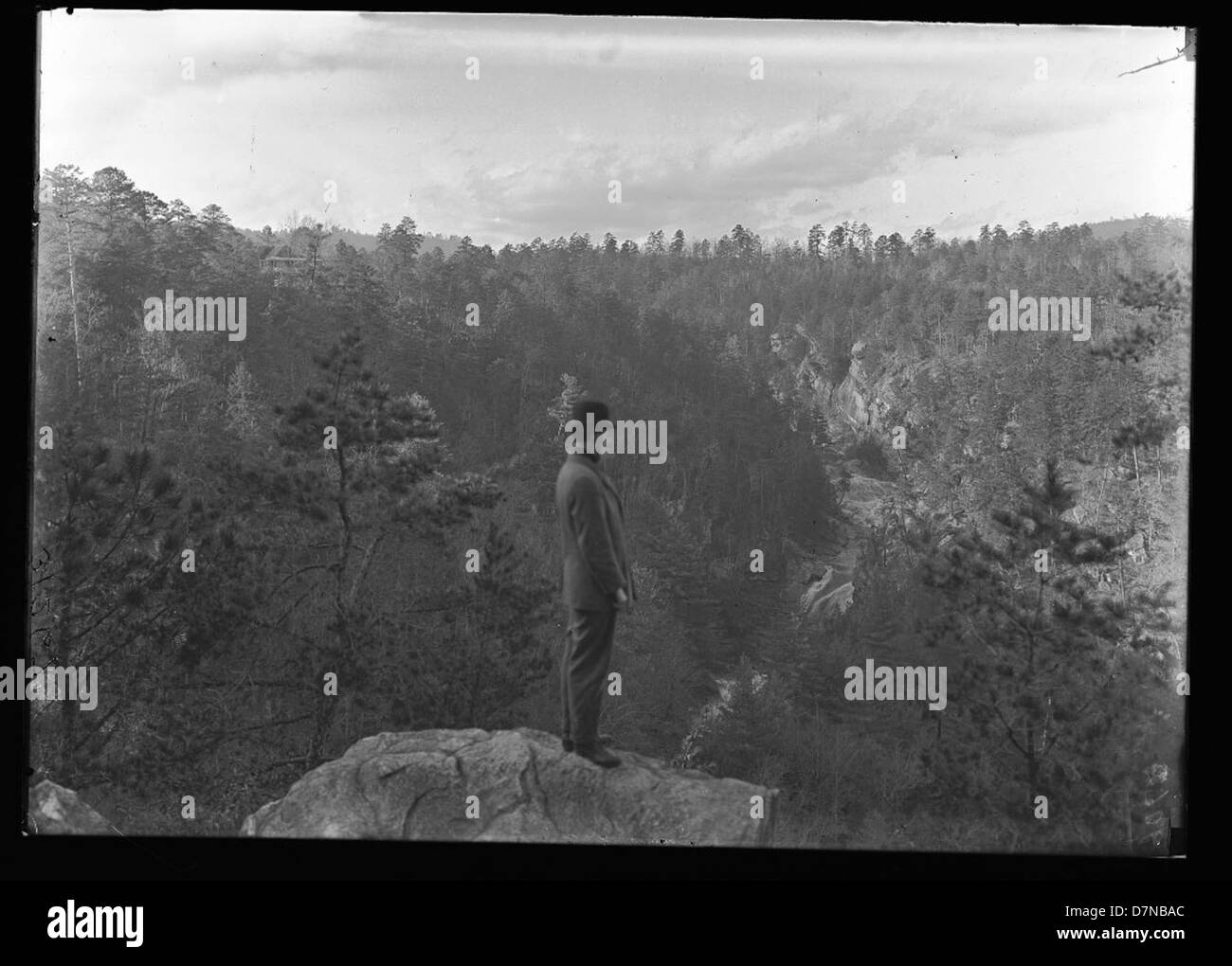 Specimen collection hat hires stock photography and images Alamy