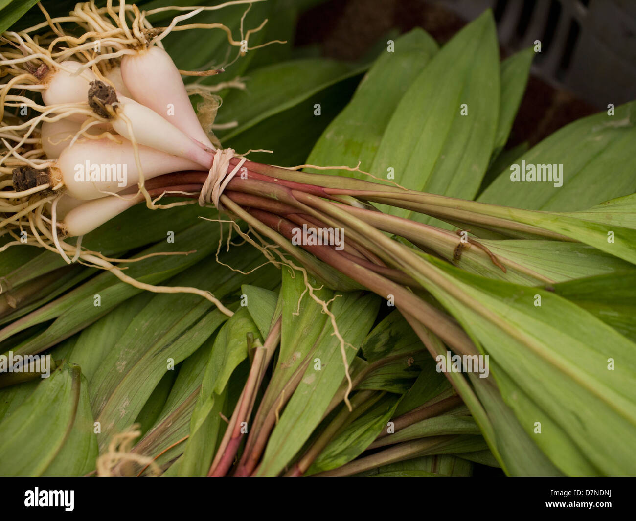 On ramps hires stock photography and images Alamy