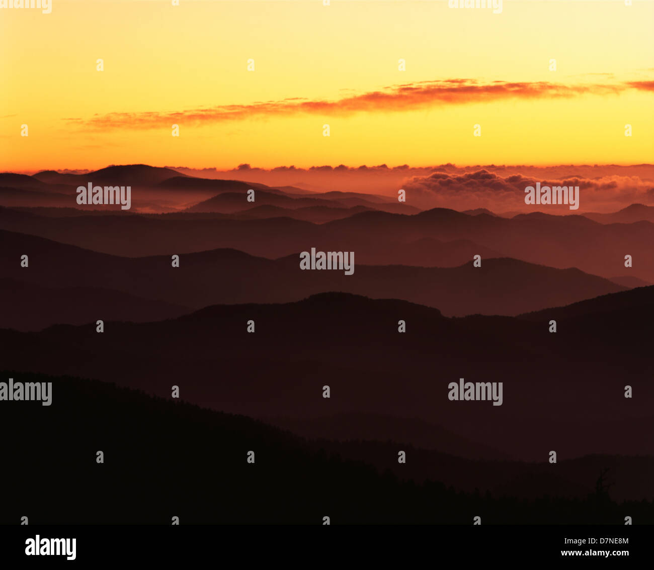 USA, North Carolina, Great Smoky Mountains National Park, Southern Appalachian ridges at dawn (Large format sizes available) Stock Photo