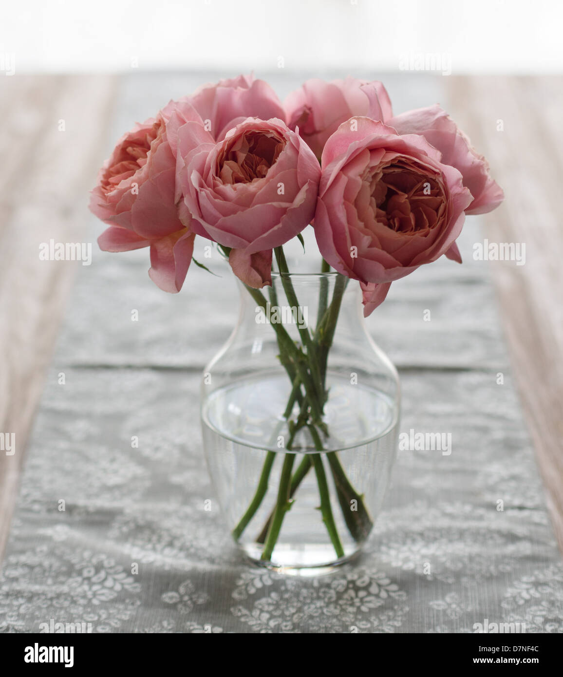 Pink peonies in a vase Stock Photo