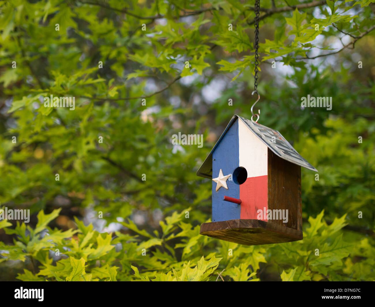Texas Flag bird house in Austin, Texas Stock Photo