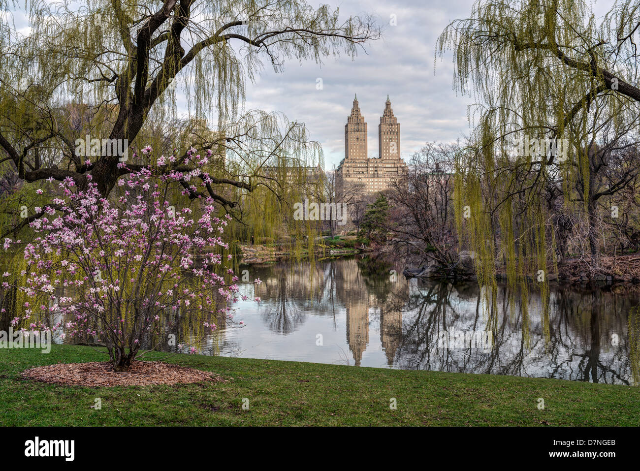Manhattan new york city park spring tree grass hi-res stock photography ...