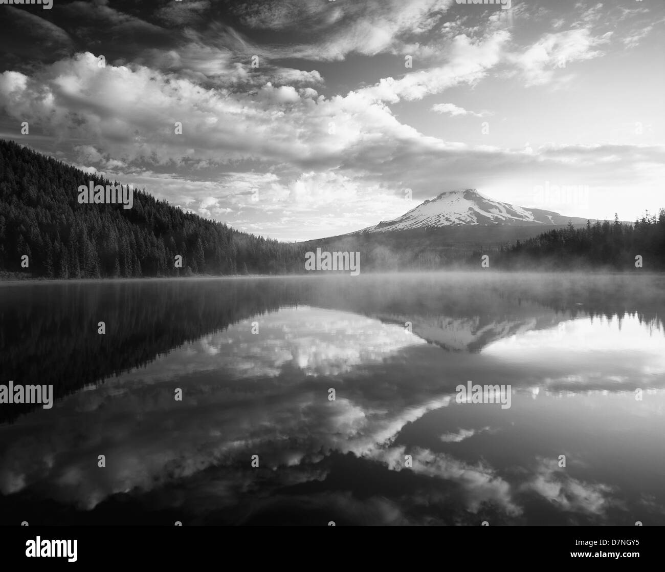 USA, Oregon, Mount Hood National Forest, Mount Hood Wilderness Area