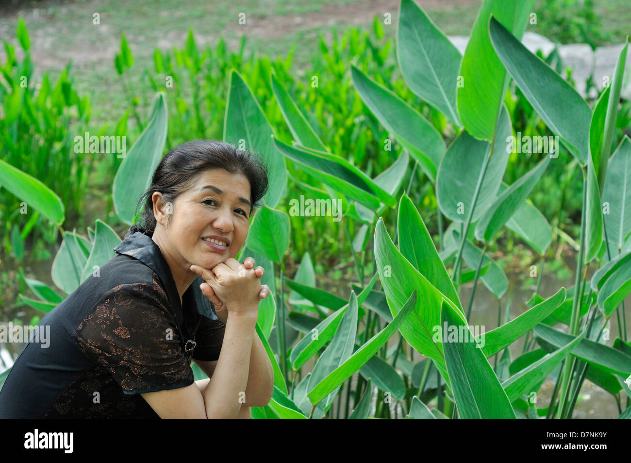 Beautiful mature asian woman hi-res stock photography and images - Alamy
