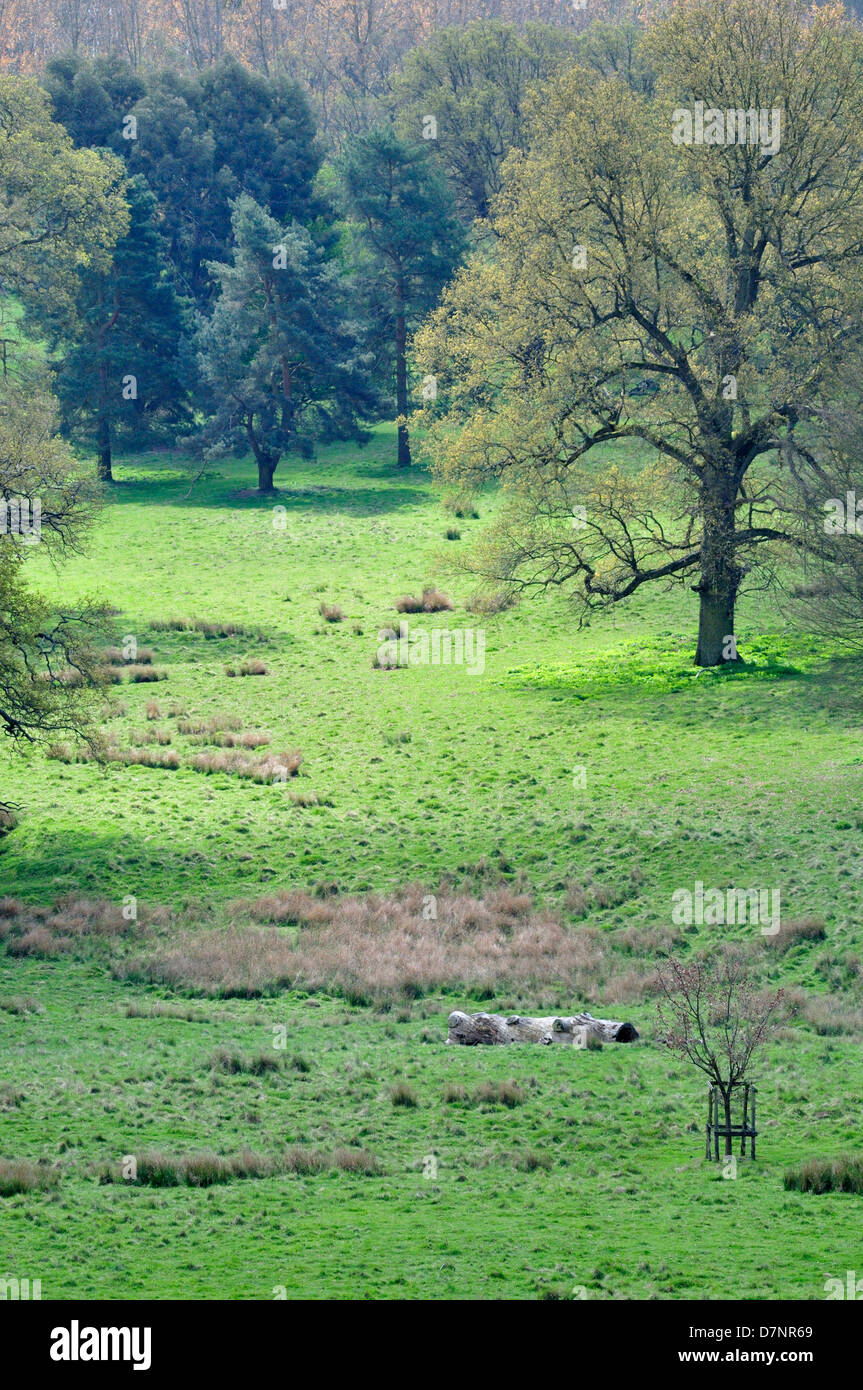 Boughton monchelsea hires stock photography and images Alamy