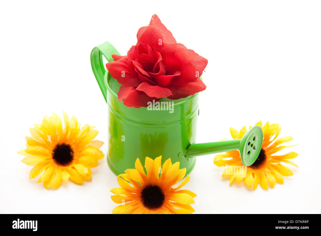 Watering can with rose Stock Photo Alamy