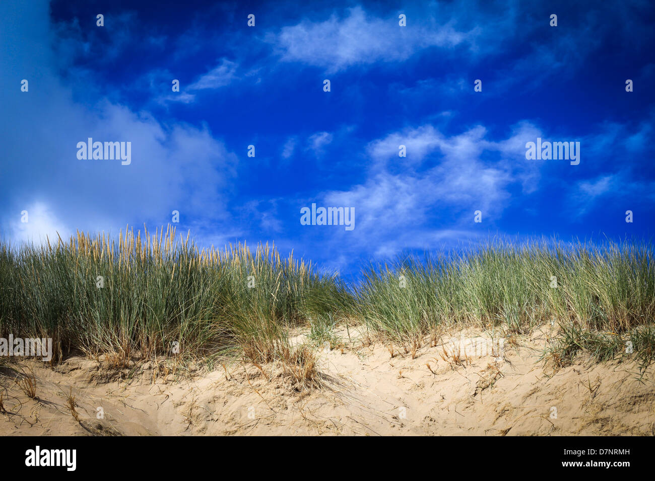 Sand dunes and deep blue sky taken at Apollo Bay, Victoria, Australia ...