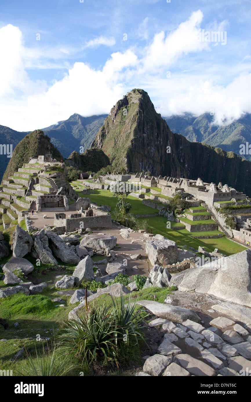 Llama at machu picchu inca city hi-res stock photography and images - Alamy