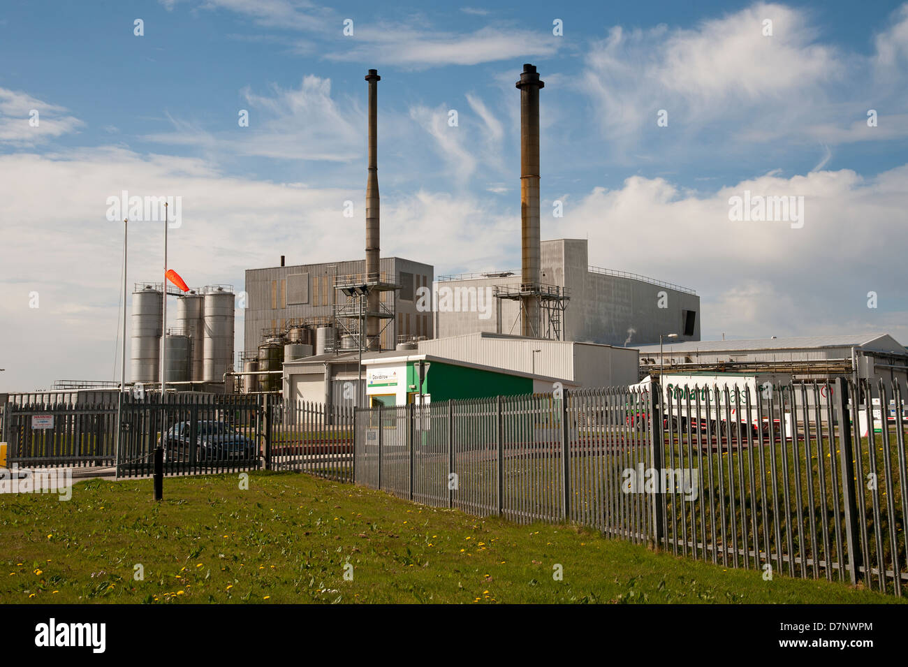 davidstow cheese factory tour