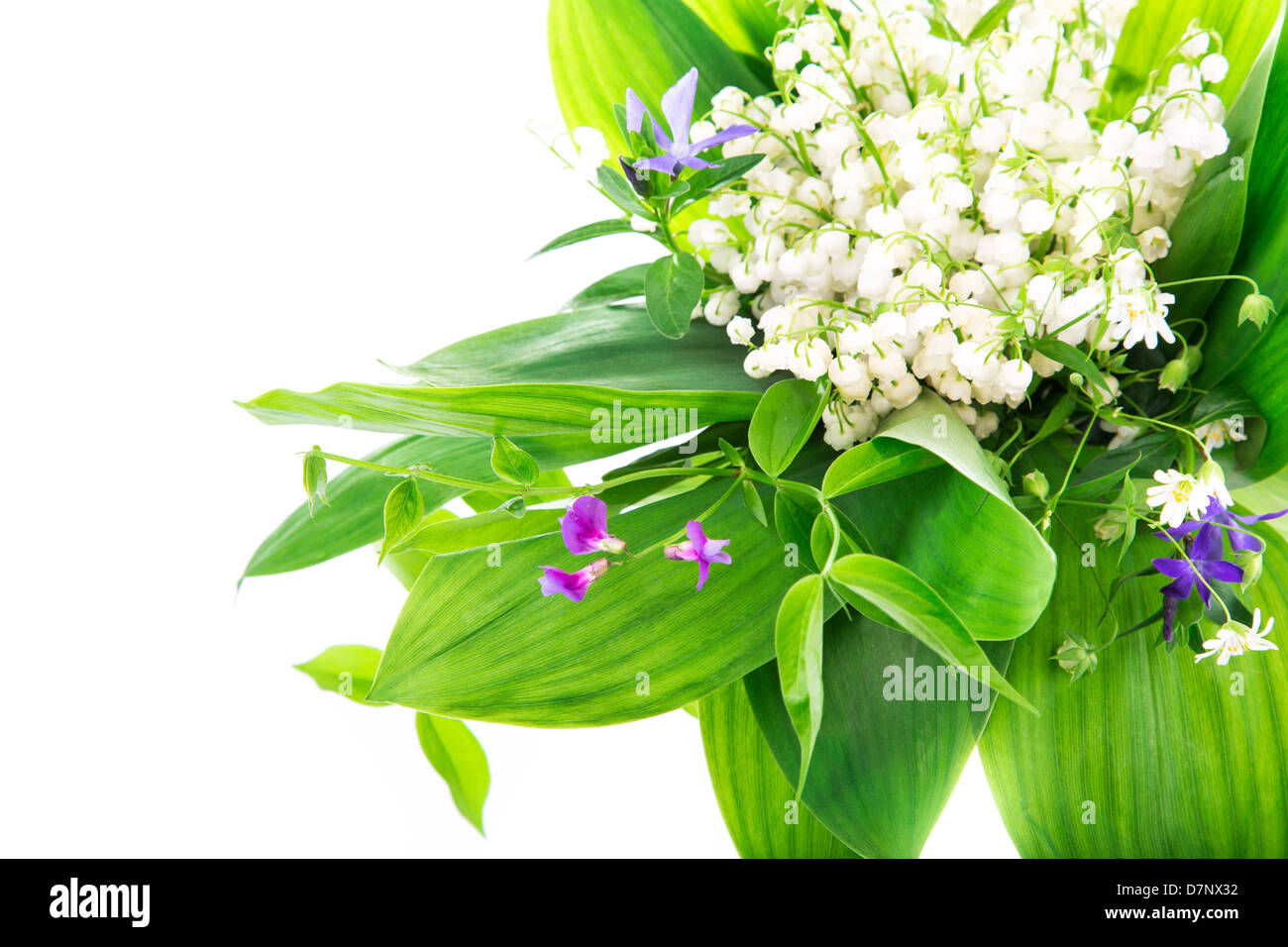 Bouquet of lilies of the valley isolated on white background Stock ...
