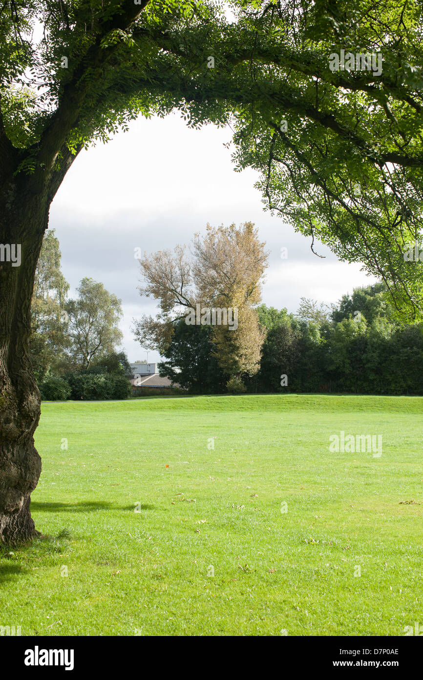 Big green park hi-res stock photography and images - Alamy