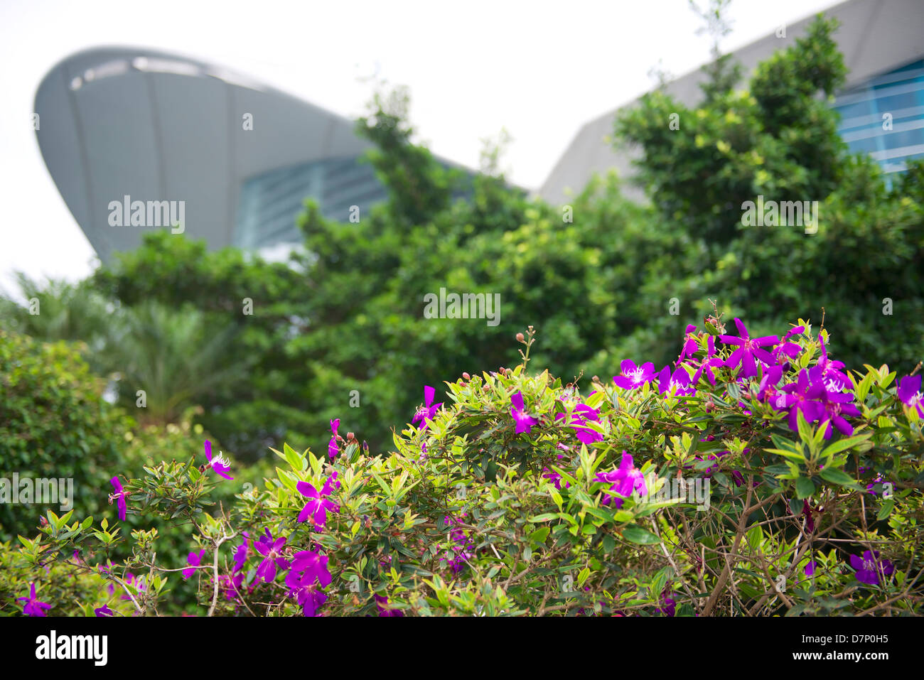 HKCEC in Wan Chai, Hong Kong Stock Photo Alamy