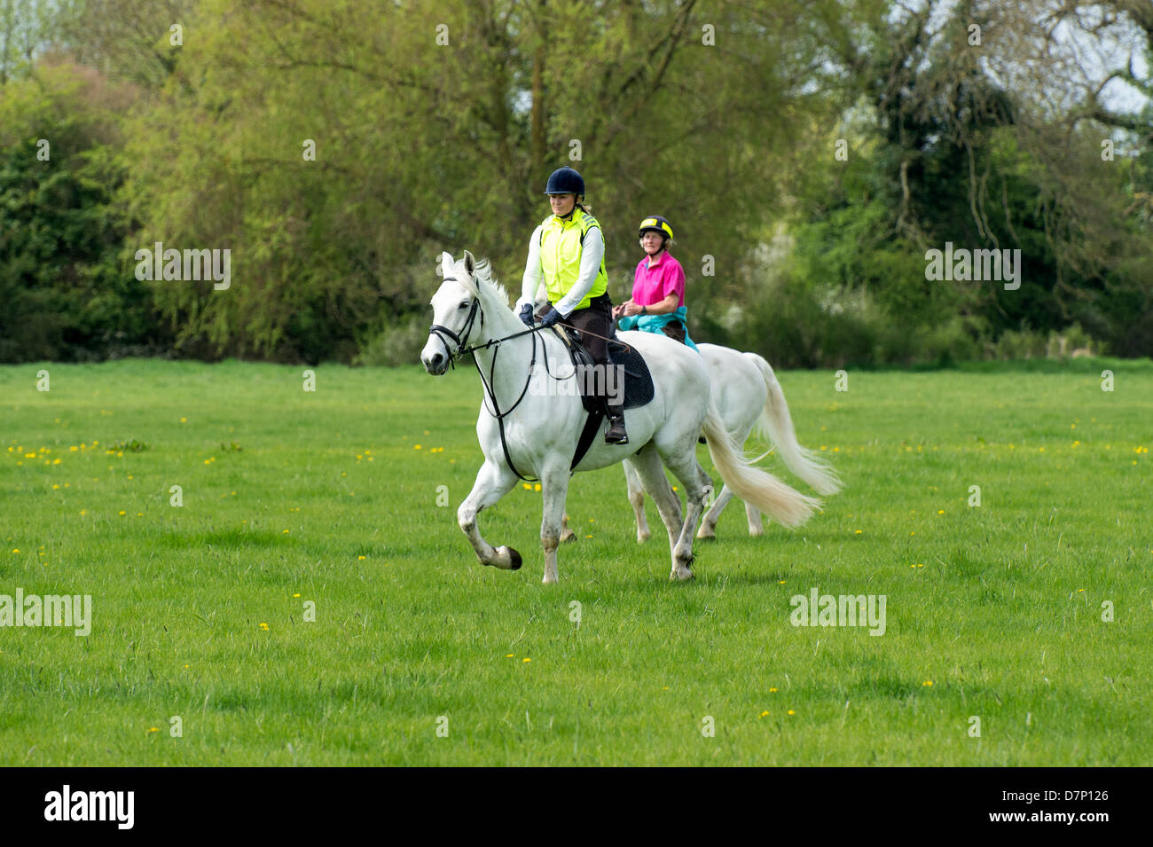 Two horses and riders canter across parkland at Burghley Horse Trails near Stamford in Lincolnshire Stock Photo