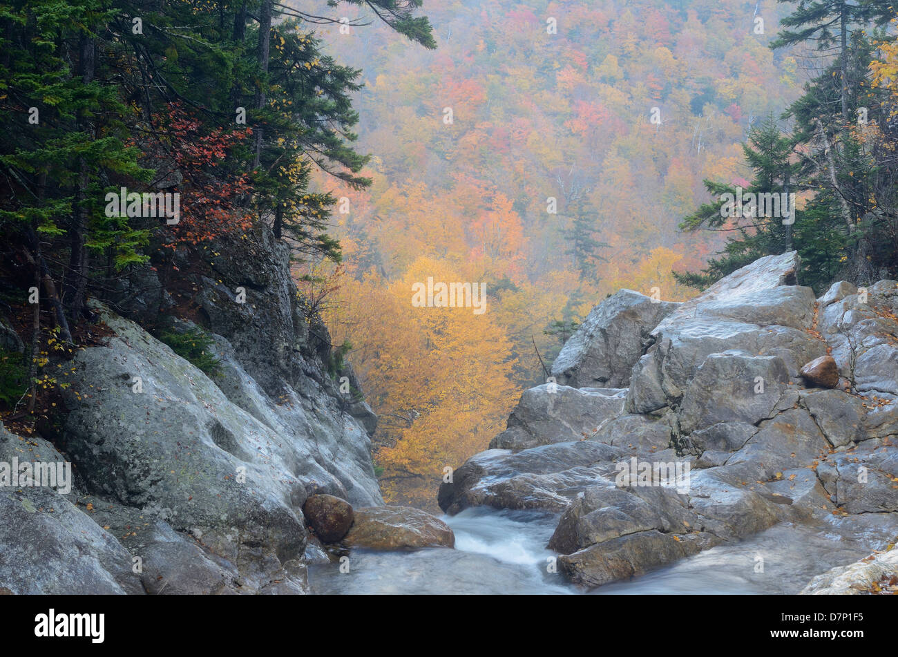 Ellis River, White Mountain National Forest, New Hampshire. Stock Photo