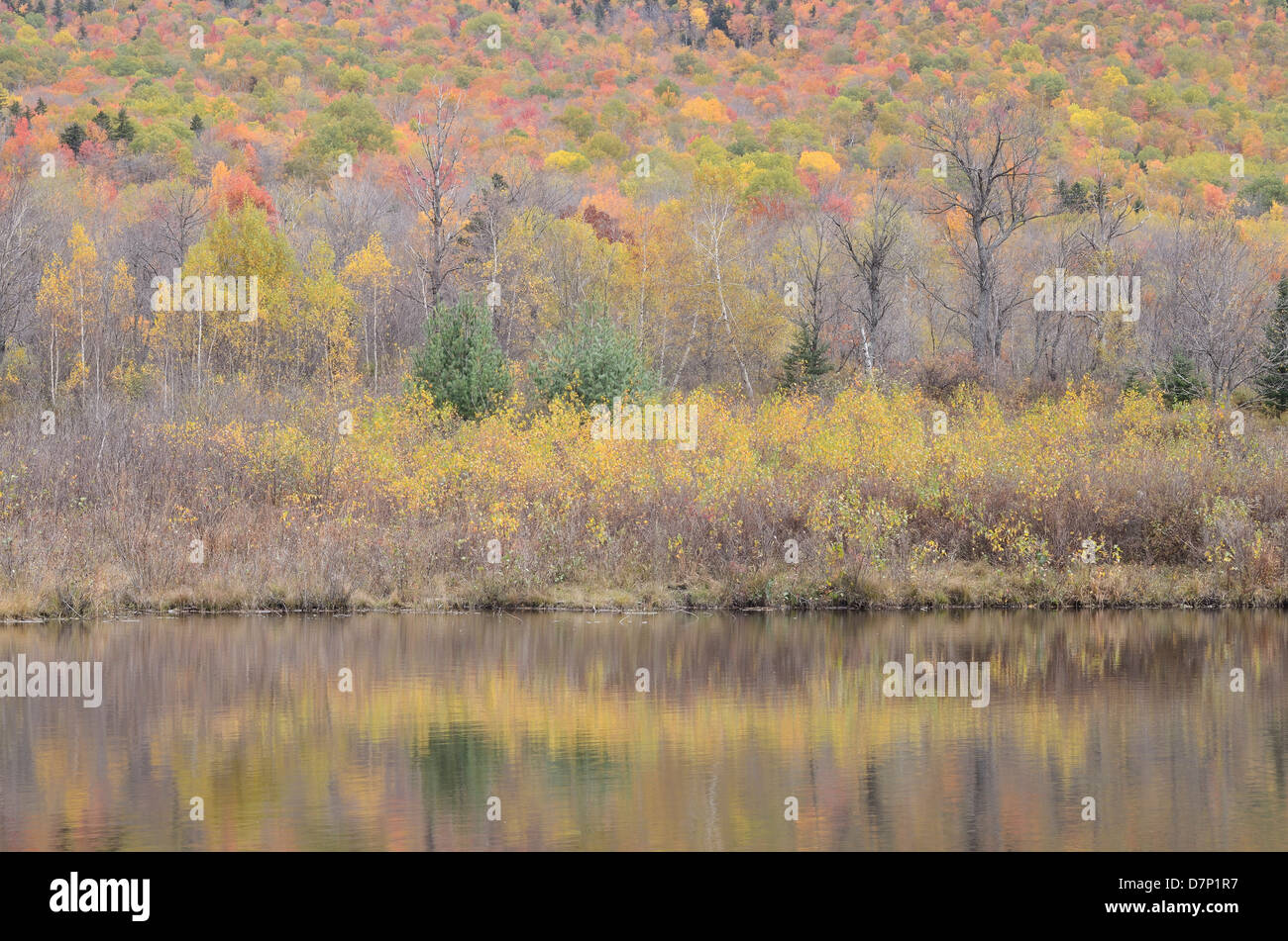 New England autumn pond reflection Stock Photo