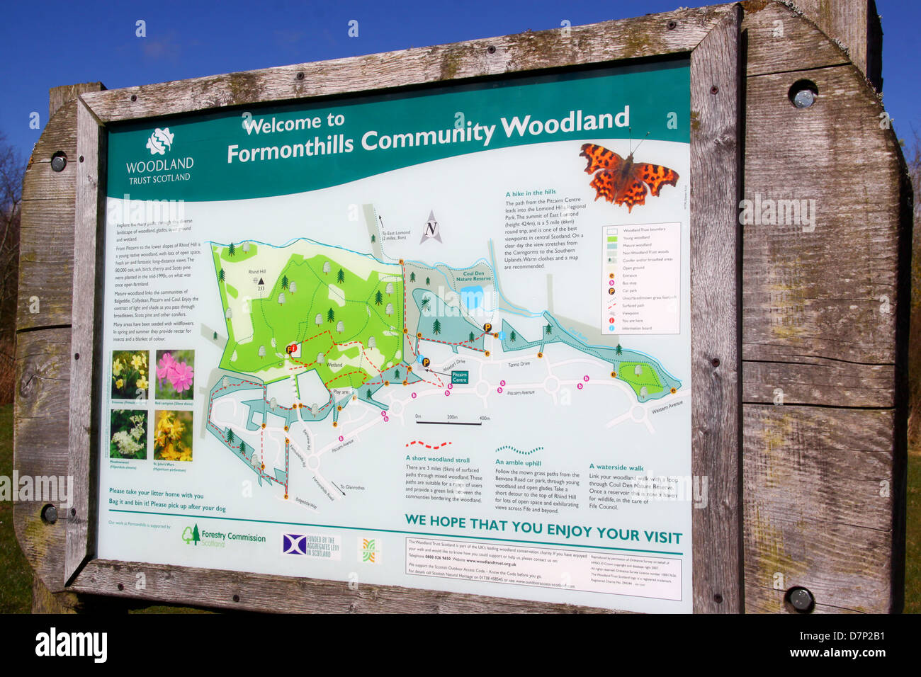 Formonthills Community Woodland Fife Stock Photo