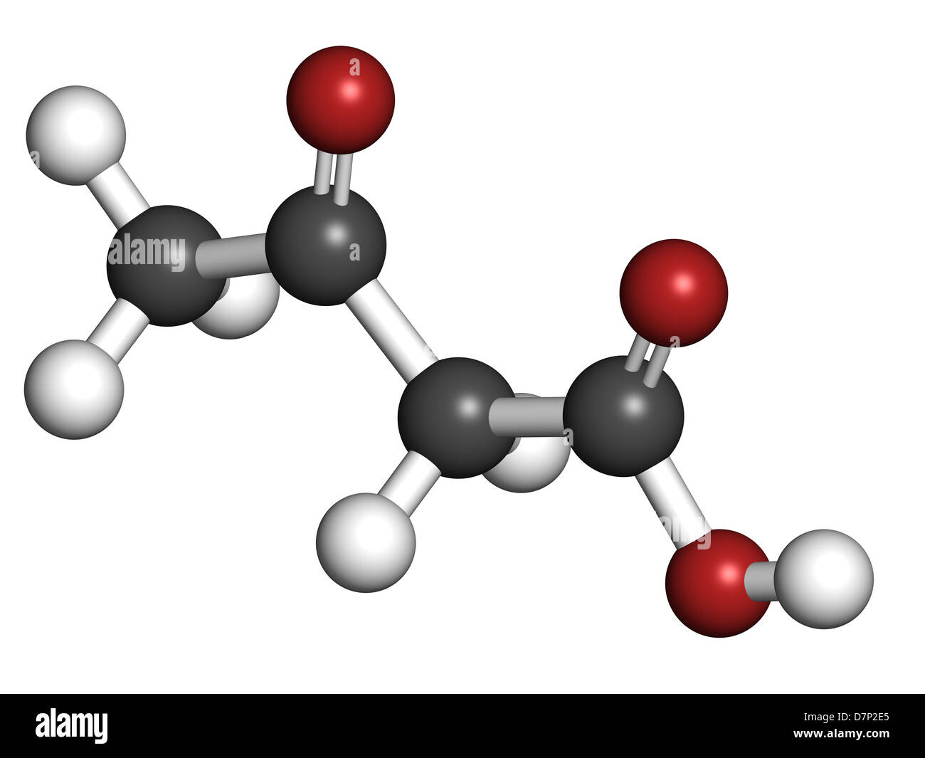 Ketone body (acetoacetic acid), molecular model. Atoms are represented