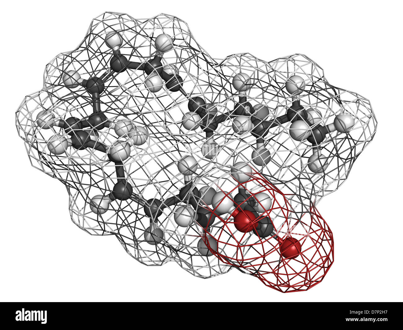 Arachidonic acid (AA, ARA) polyunsaturated omega6 fatty acid