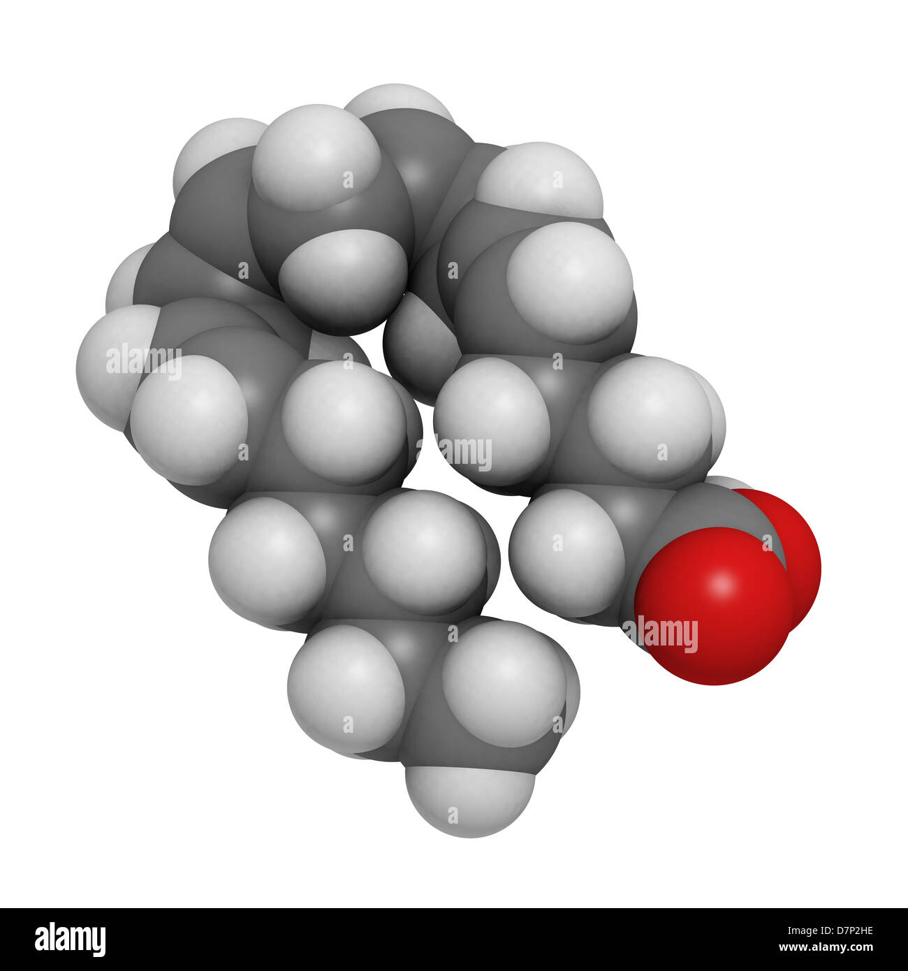 Arachidonic acid (AA, ARA) polyunsaturated omega6 fatty acid