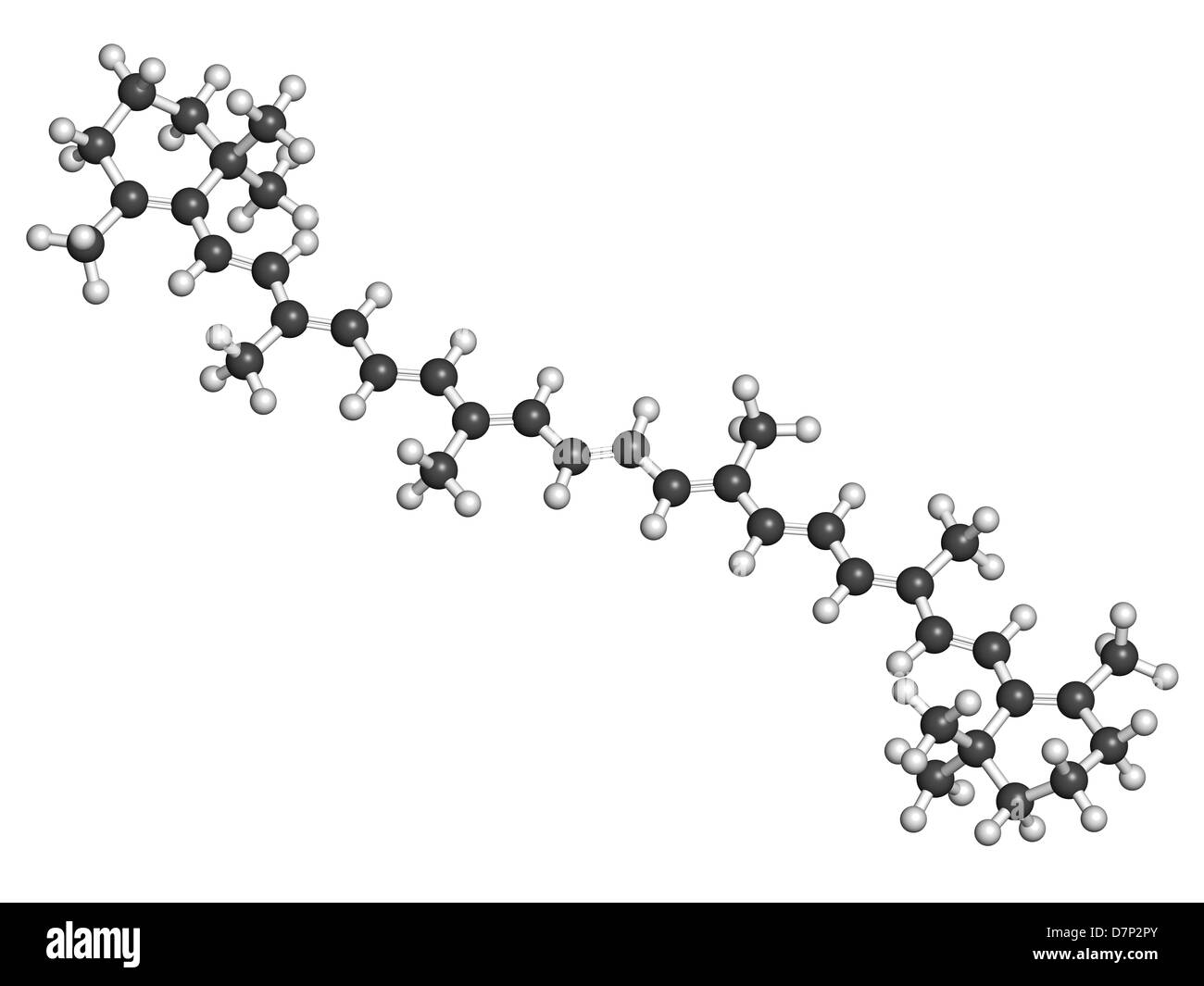 Betacarotene carot pigment, molecular model. Betacarotene is a