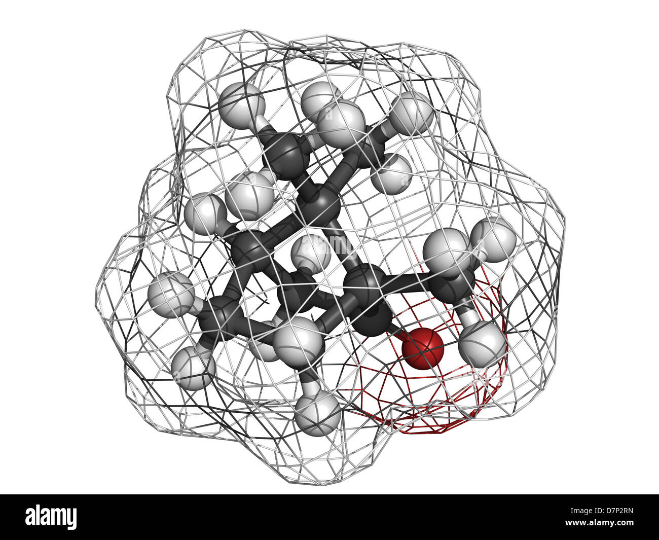 Camphor, chemical structure. Atoms are represented as spheres with