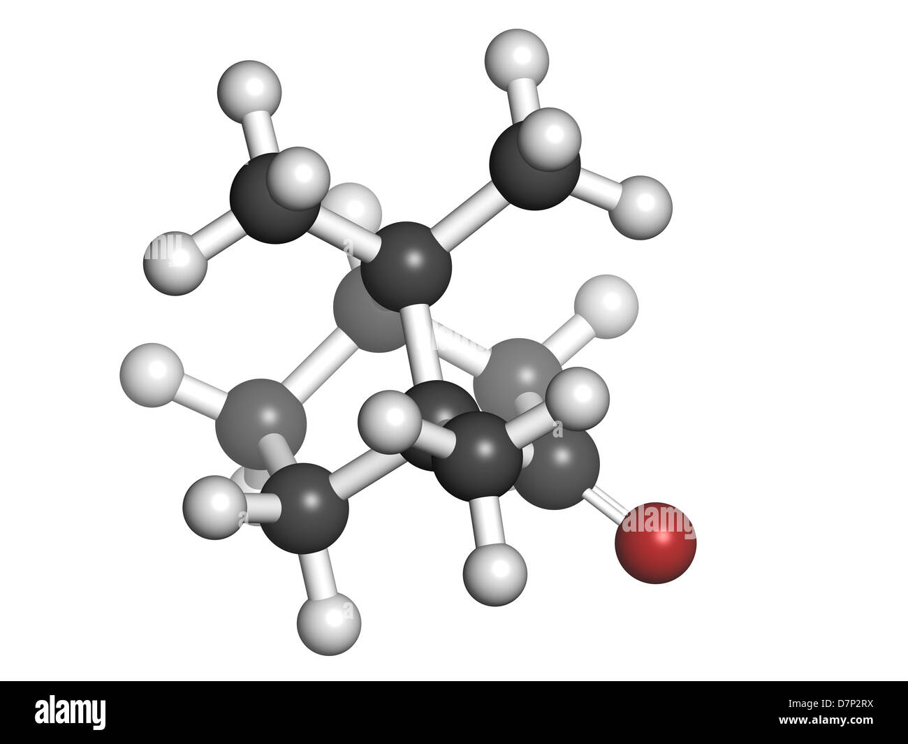 Camphor, chemical structure. Atoms are represented as spheres with
