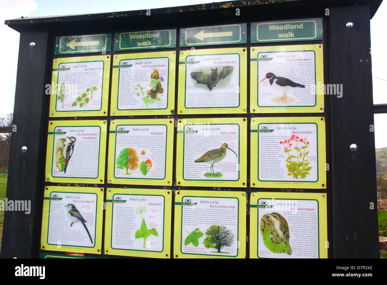 Information sign for flora and fauna in country park Stock Photo