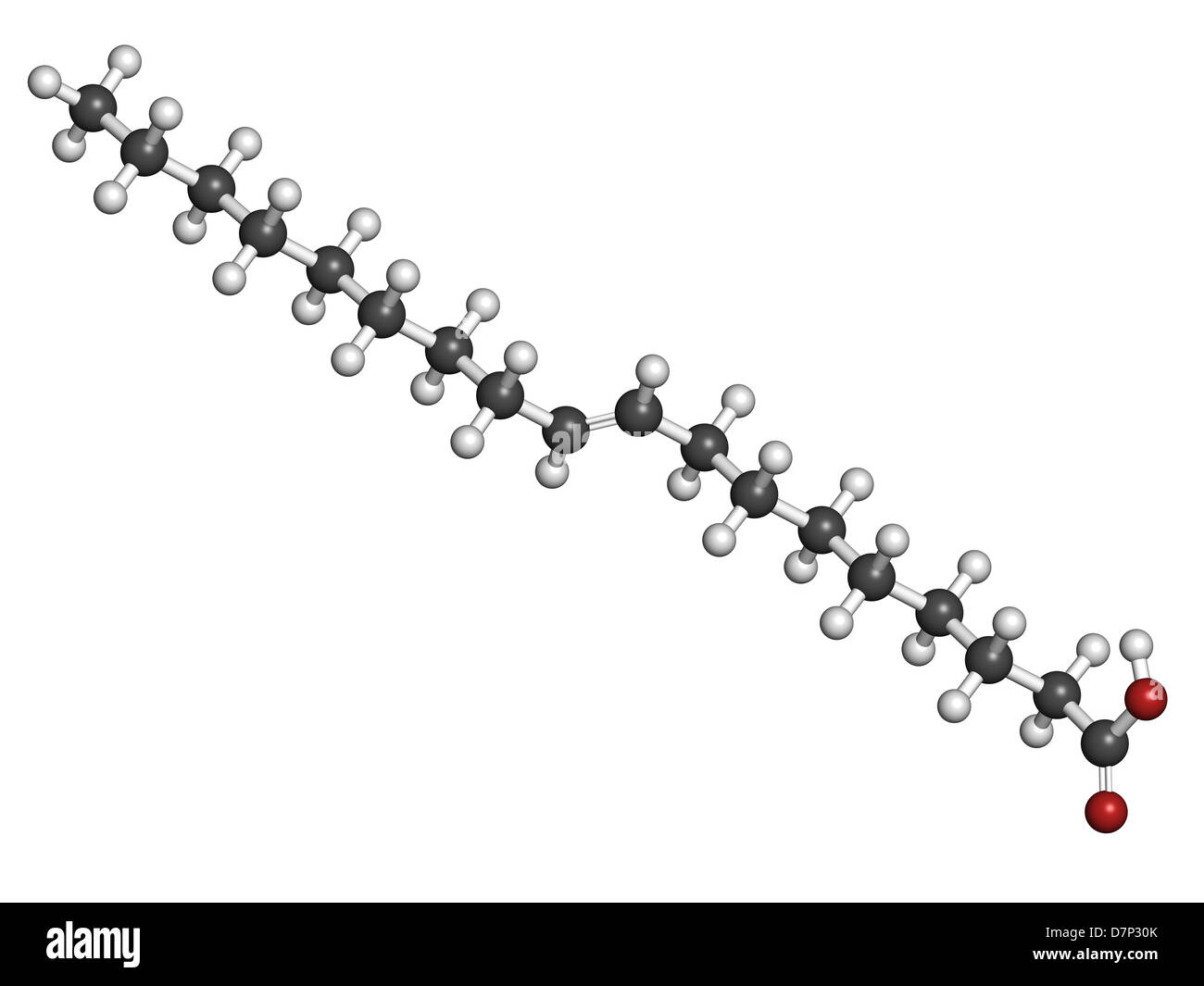 Hydrogenated Oil Structure