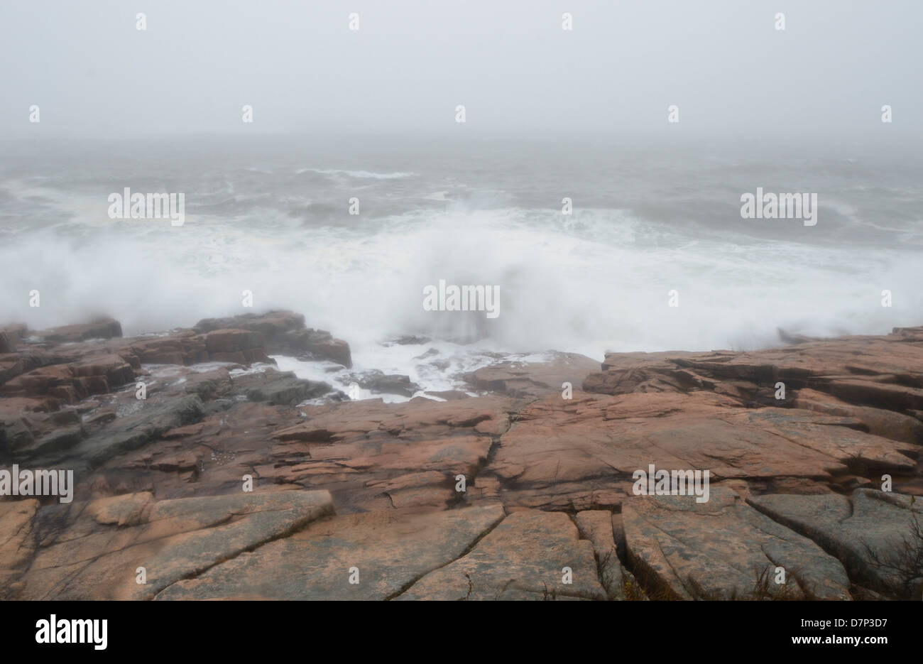 Hurricane Sandy at Acadia National Park, Maine. Stock Photo