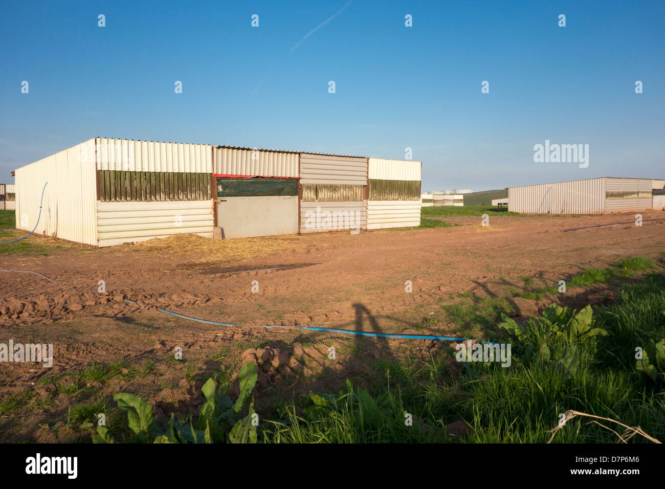 Field of poultry brooding houses Stock Photo - Alamy