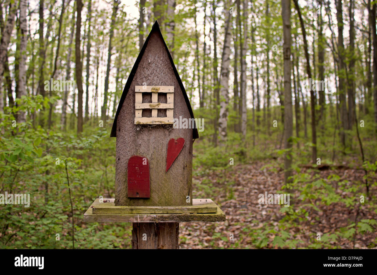 Rustic birdhouse in the forest. Stock Photo