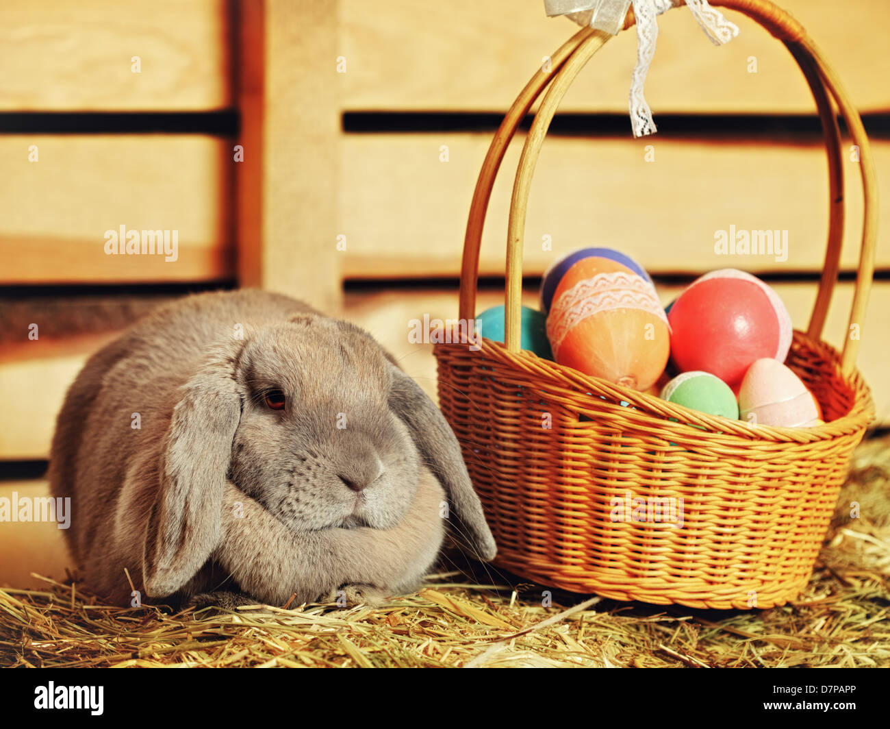 gray lop-earred rabbit and Easter basket on hayloft Stock Photo