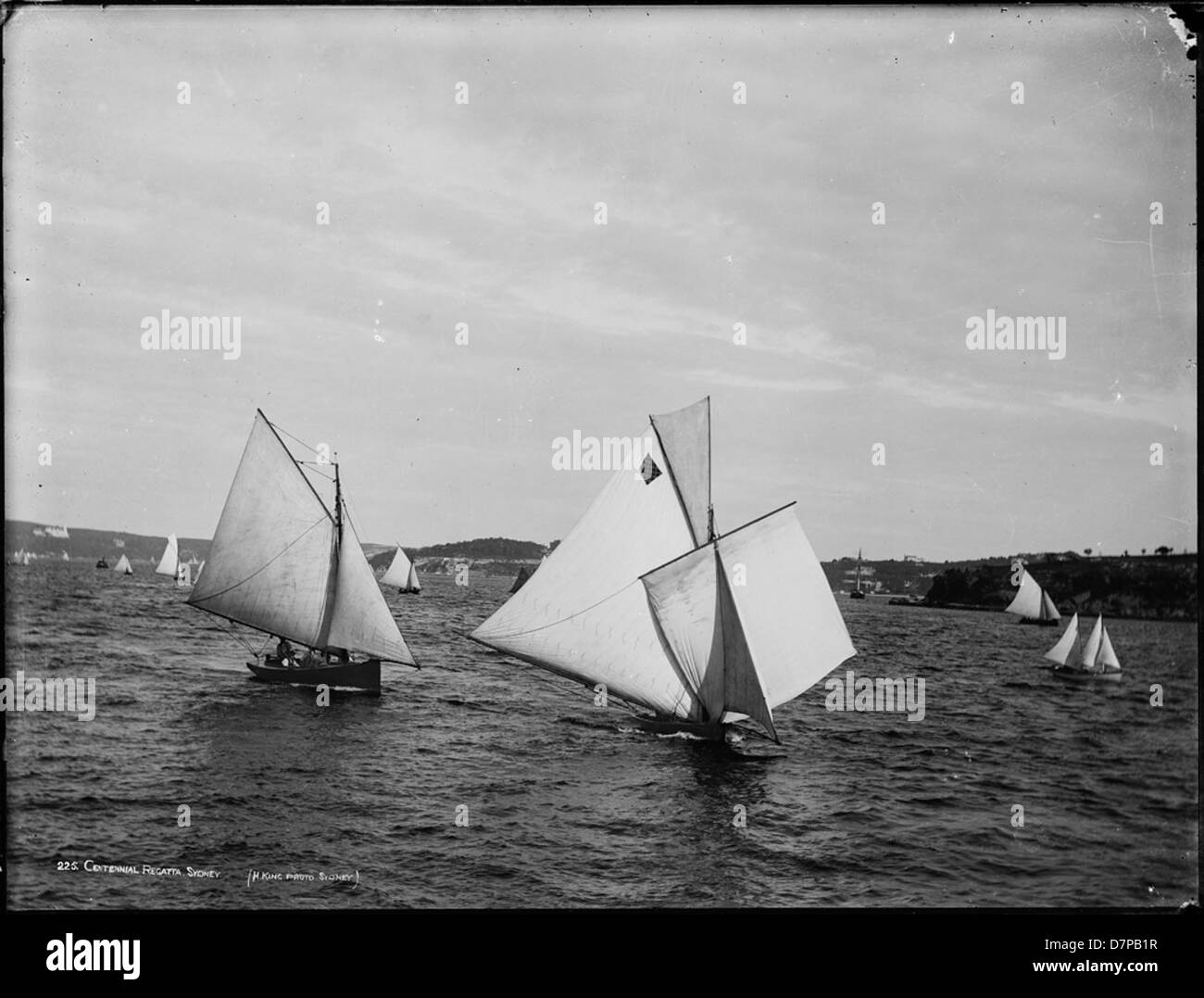 Centennial Regatta, Sydney Stock Photo Alamy