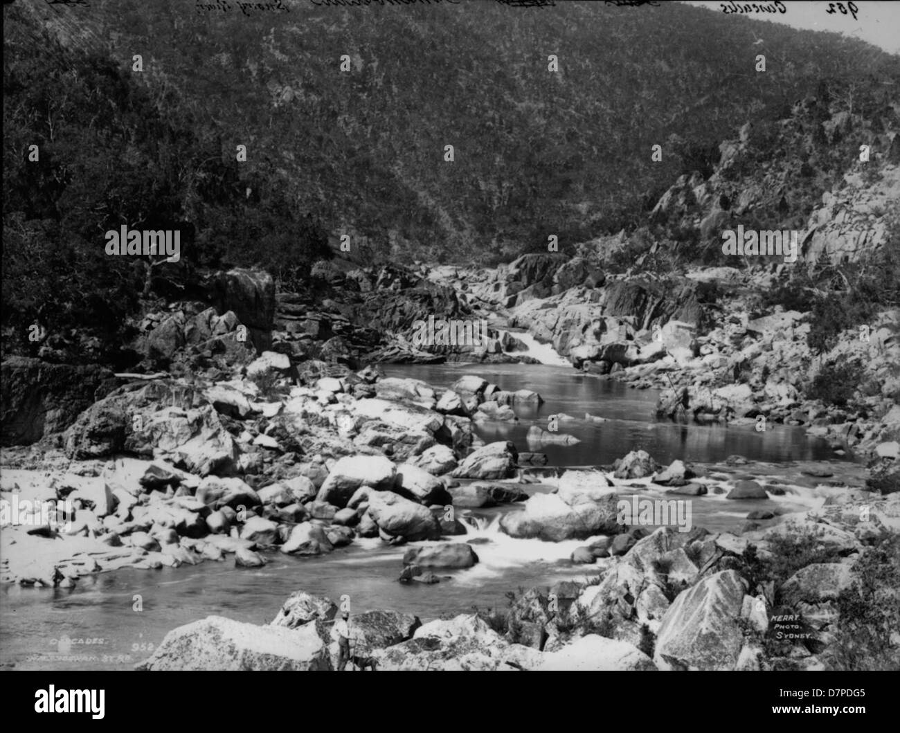The image shows the frothy, meandering cascades of the Snowy River in Australia, as depicted in a collection at the Powerhouse Museum. The photograph captures the dynamic flow of water over rocks and the surrounding riverbed, emphasizing the natural beauty and power of the river system. Stock Photo