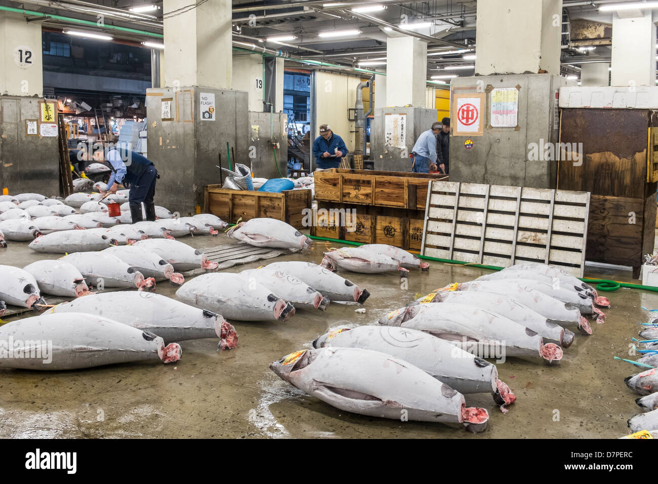 Fish Scale Buyers In Japan - Temu