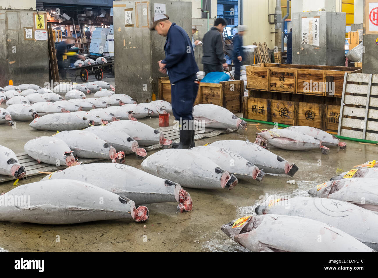 Fish warehouse hi-res stock photography and images - Alamy