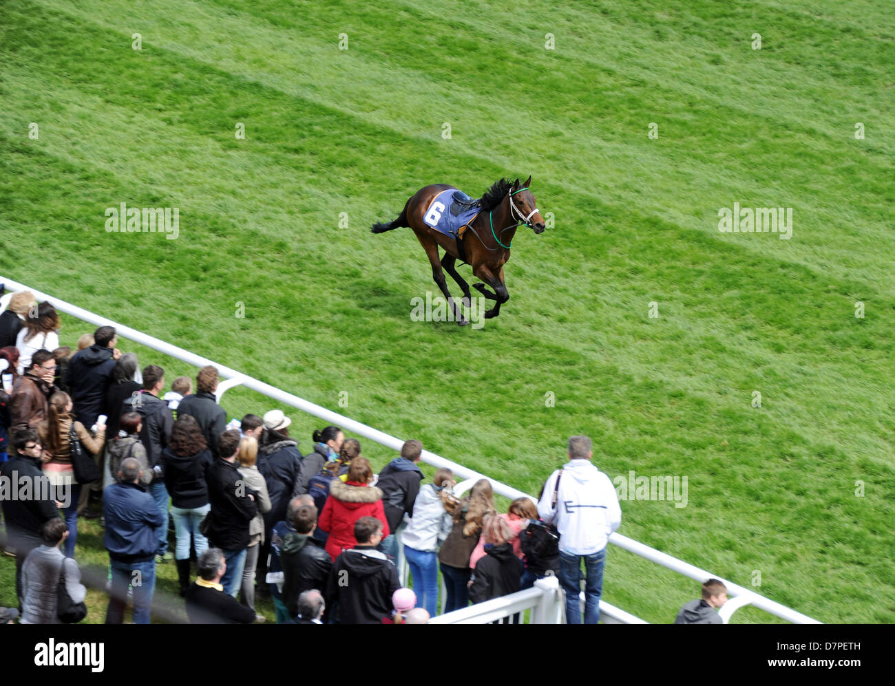 The horse 'Happy End' gallops towards the finish without its jockey on