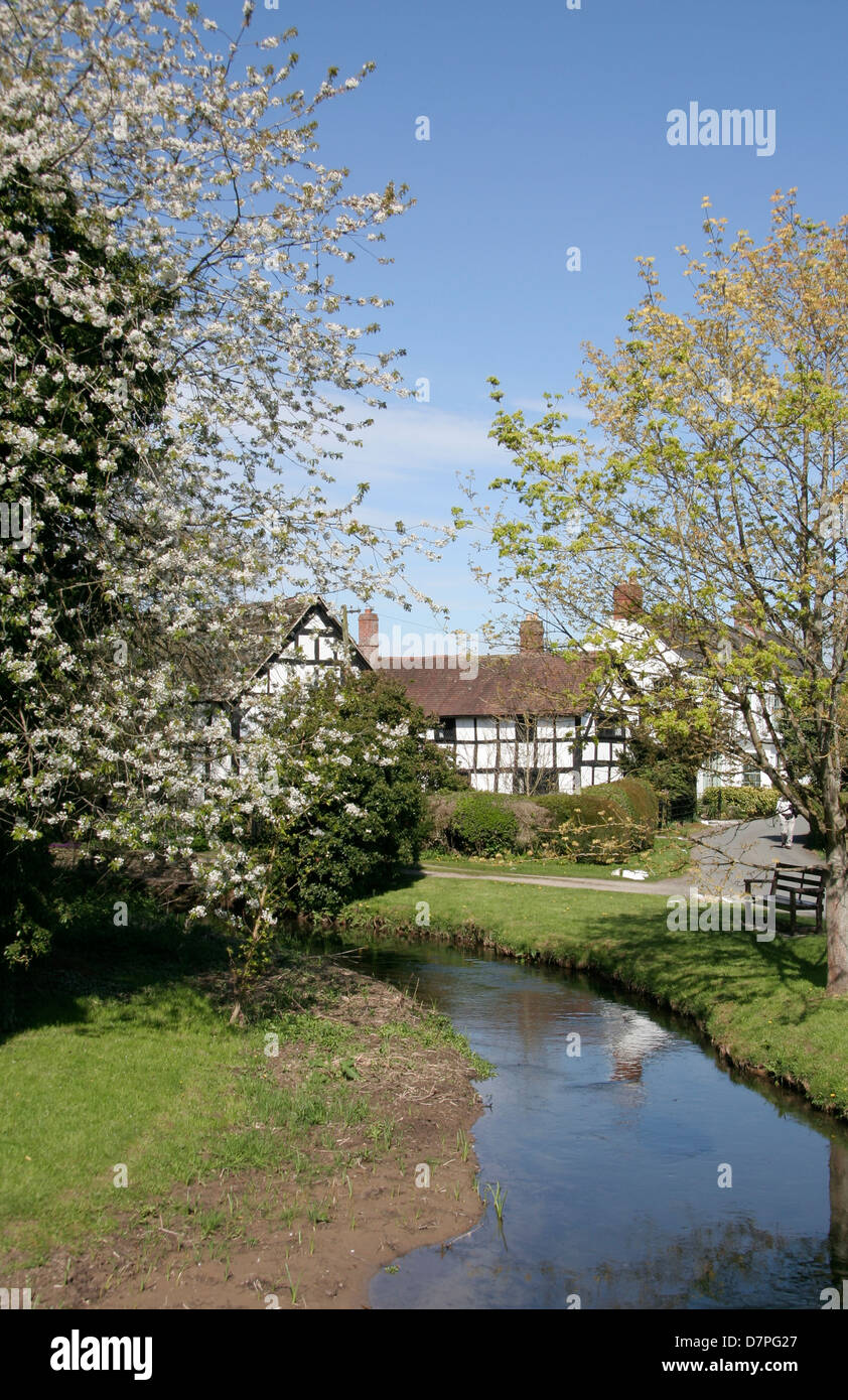 Timber framed houses and stream Black and White Village Trail Eardisland Herefordshire England UK Stock Photo