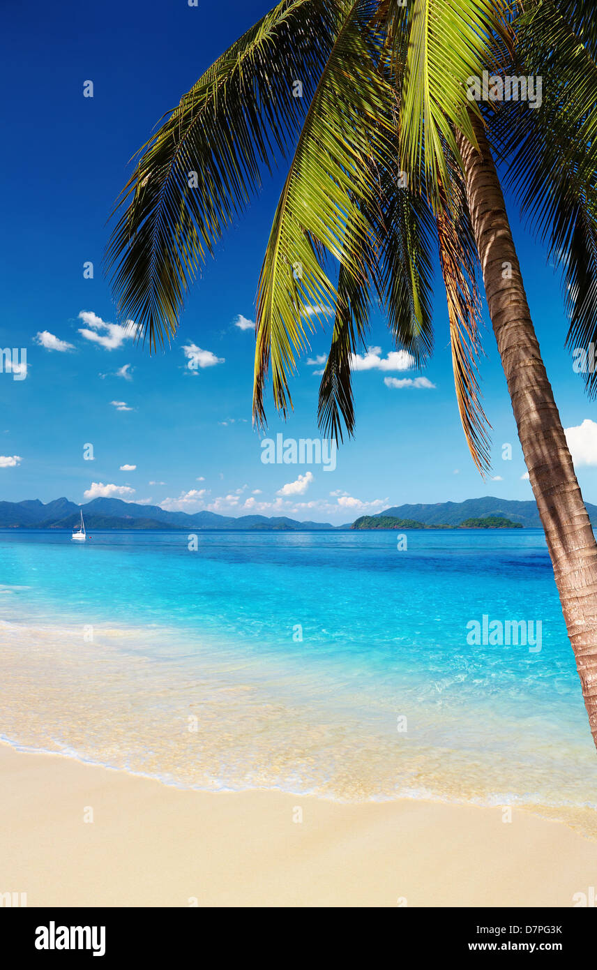 Tropical beach with palms and azure water, Thailand Stock Photo