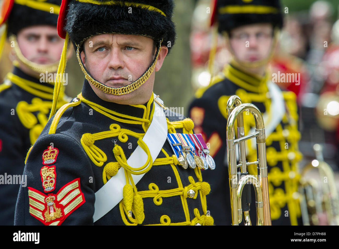 Royal Gcvo Robe Hyde Park, London, UK 12 may 2013. Her Royal Highness The Princess ...