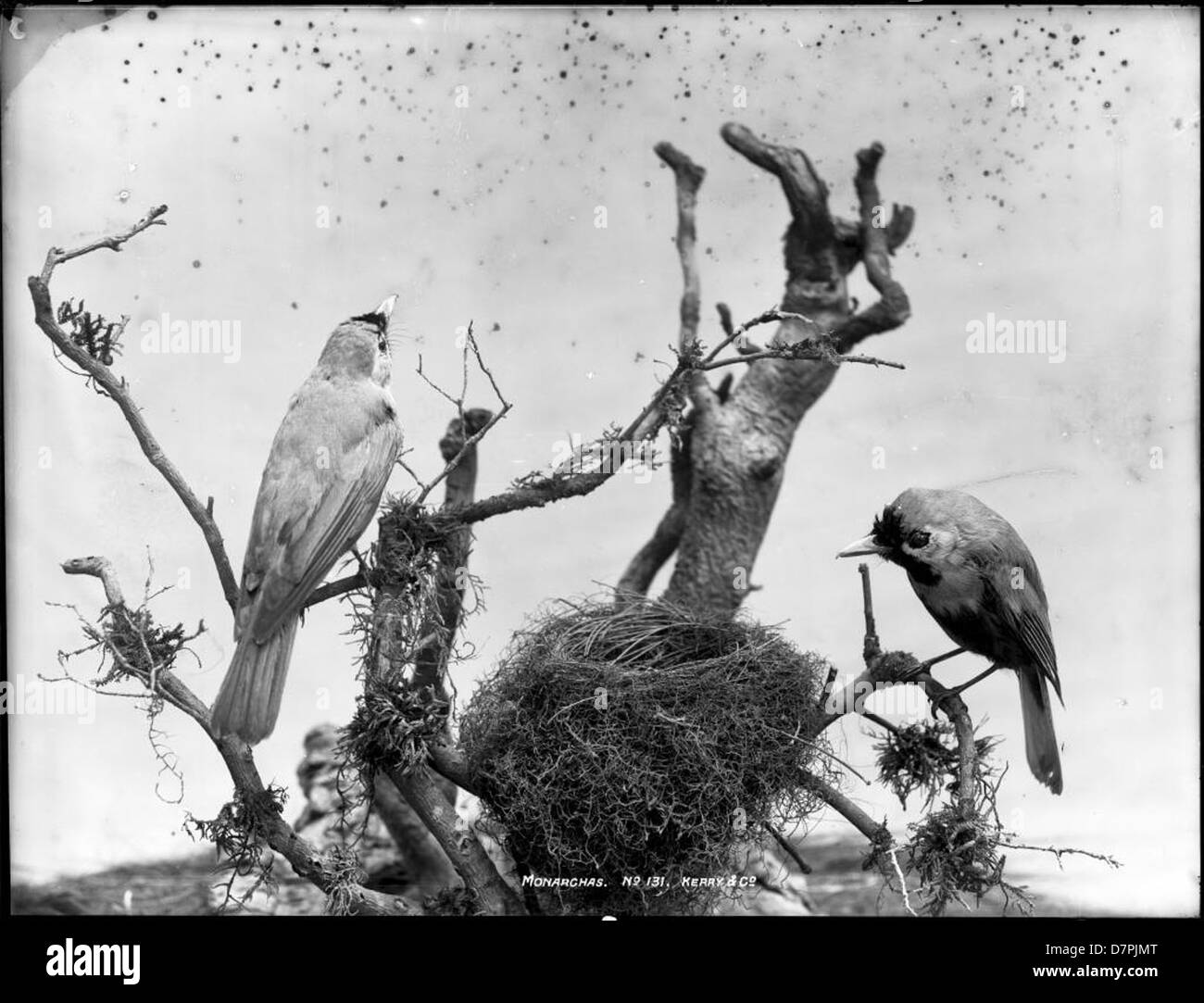 Identifier 30111 dc hi-res stock photography and images - Alamy