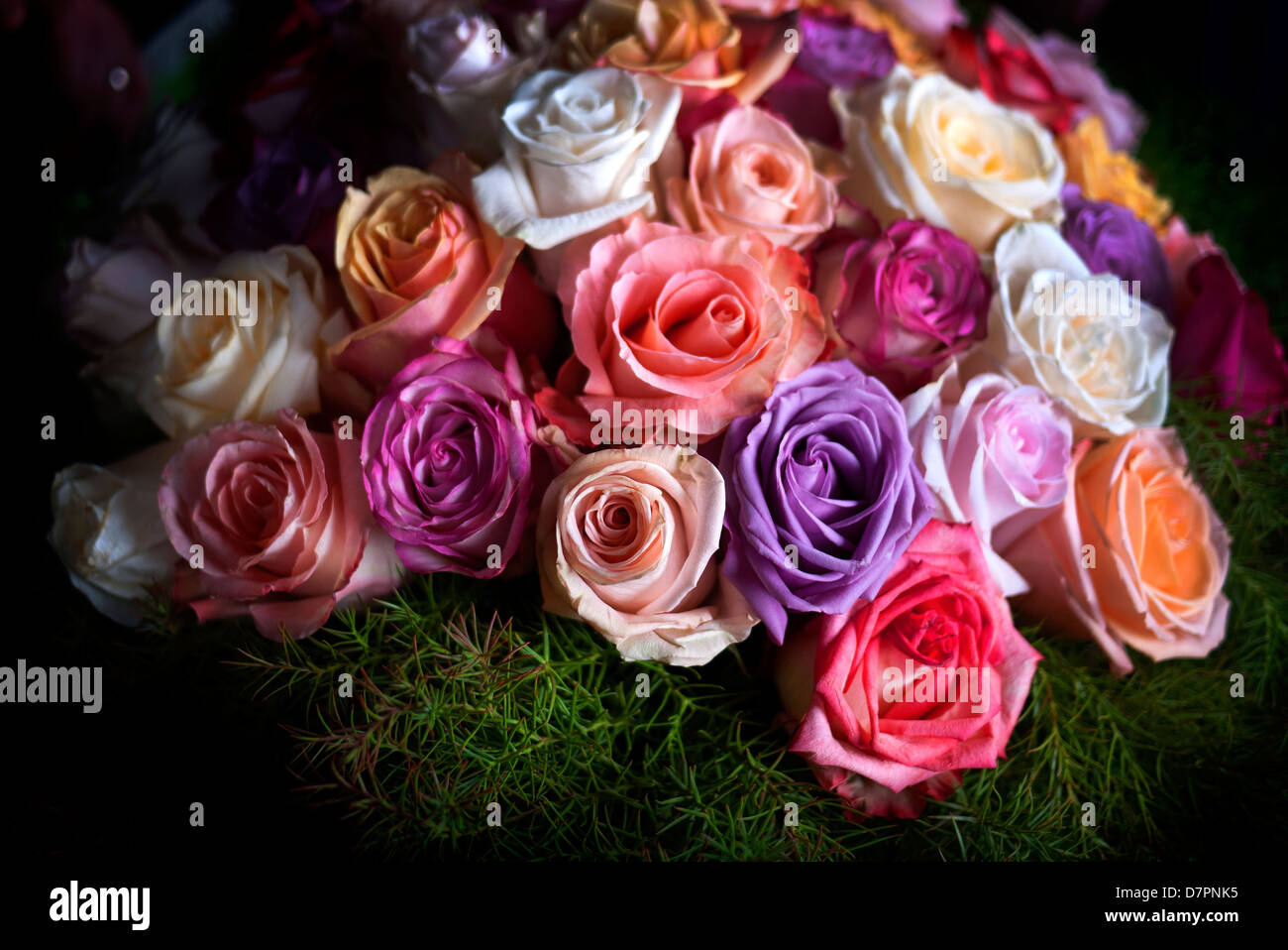 Floral display of roses. Stock Photo