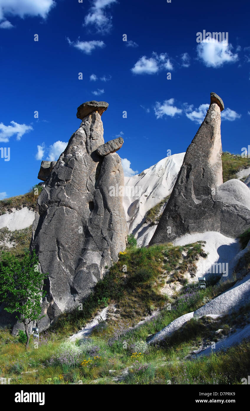 Fairy chimneys are generally found in the valleys of the Uchisar - Urgup - Avanos. Cappadocia, Turkey. Stock Photo