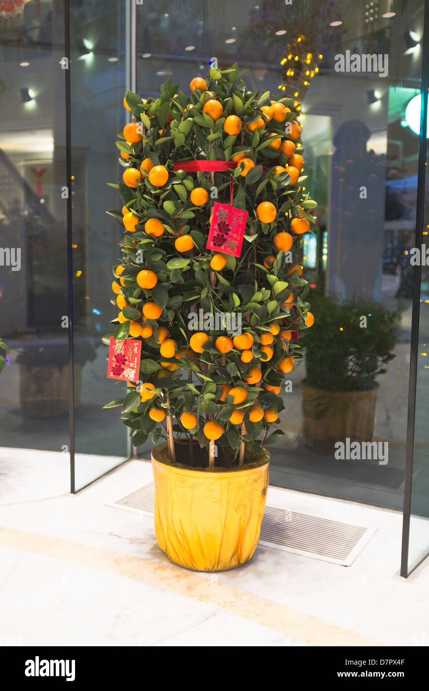 dh Metropark Hotel CAUSEWAY BAY HONG KONG Chinese New Year minature small Orange tree in pot displayed at hotel entrance Stock Photo