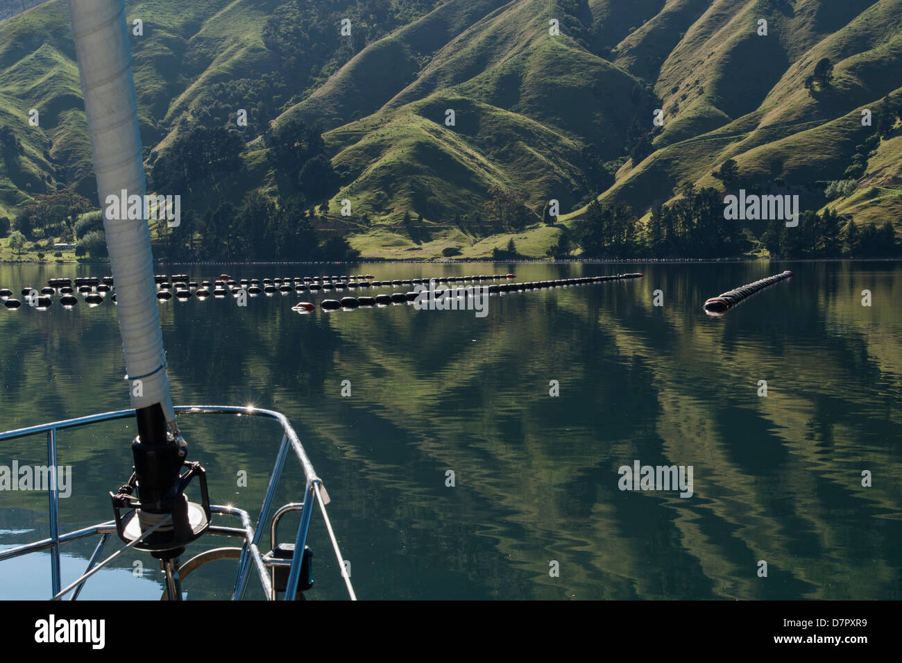 Aquaculture in the Sounds, a mussel farm in Cissy Bay, Hallam Cove, Pelorus Sound, New Zealand Stock Photo