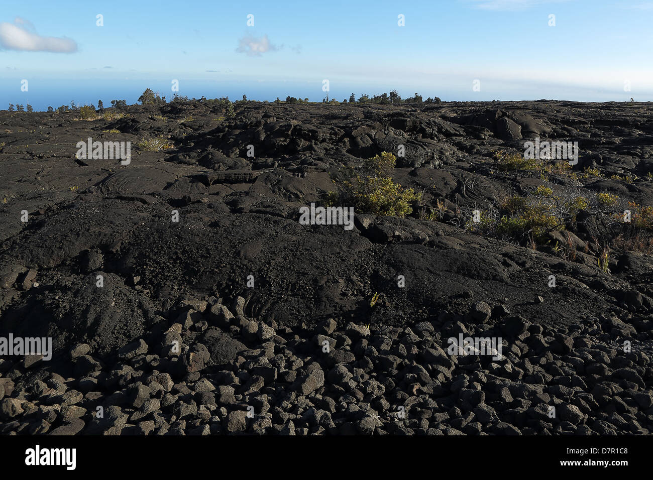 Fields of lava flows all the way to the ocean on the big island of Hawaii Stock Photo