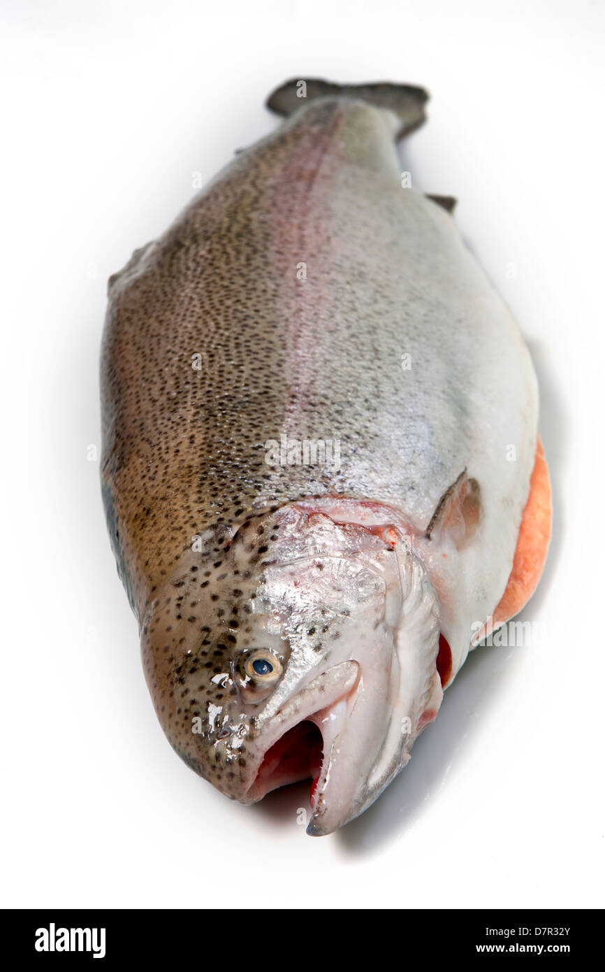 Salmon. Golden trout fillets Fish. Fresh salmon. Fillet. Stock Photo