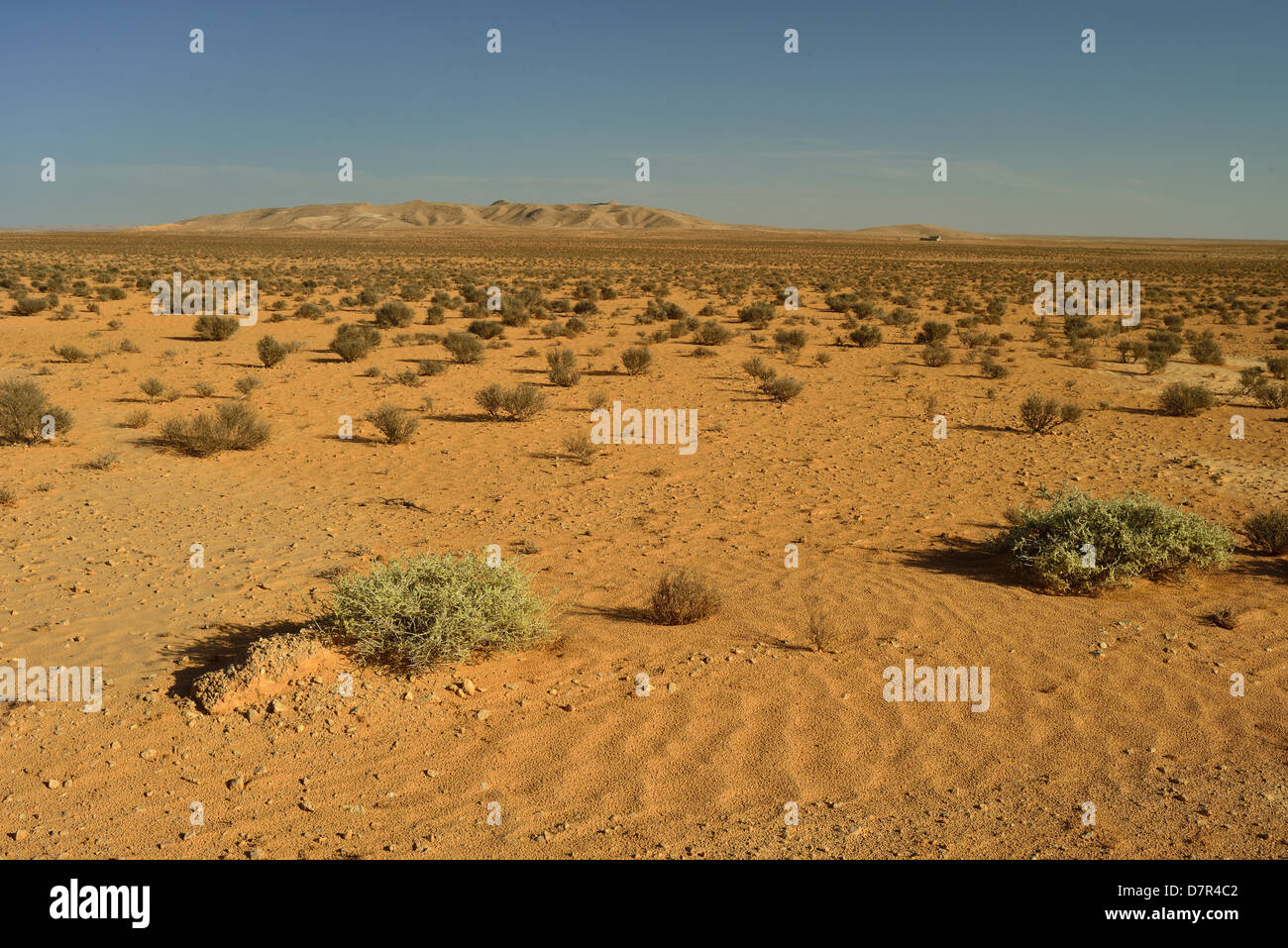 Desert near Douz, Tunisia Stock Photo