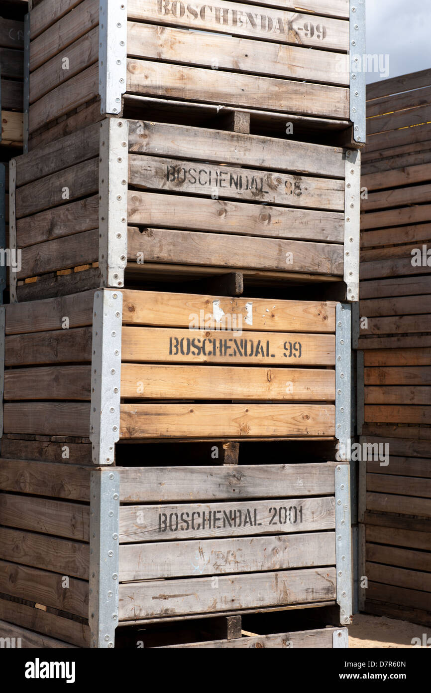 grape crates, Boschendal Estate, Franschhoek, South Africa Stock Photo